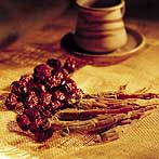 世界电信日照例是各大运营商推出各种优惠活动抢占市场的时机