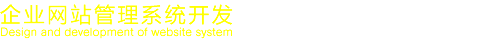 企业网站开发管理系统有限公司